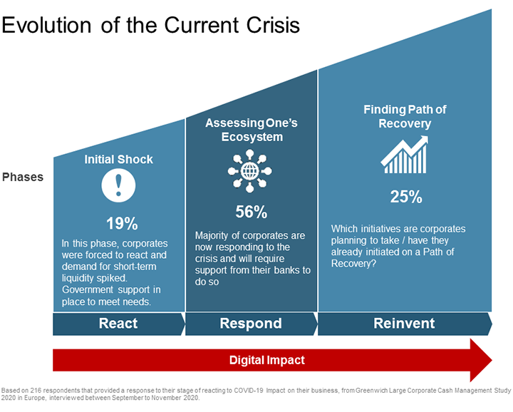 Evolution of the Current Crisis