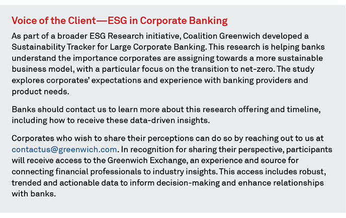 Voice of the Client - ESG in Corporate Banking
