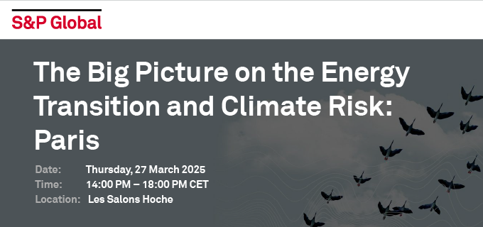 The Big Picture on the Energy Transition and Climate Risk: Paris