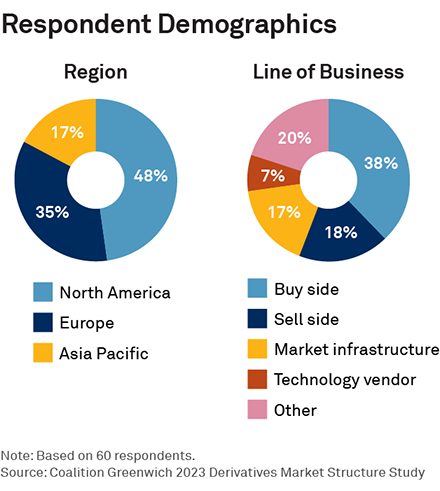 Respondent Demographics