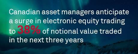Northern Lights: Illuminating Trends in Canadian Equities
