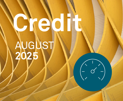 MarketView - Credit