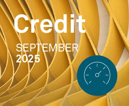 MarketView - Credit