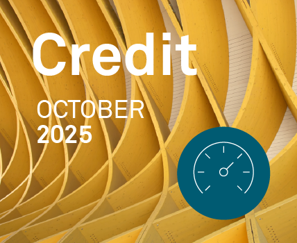 MarketView - Credit