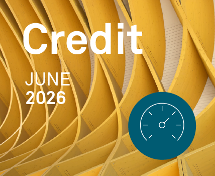 MarketView - Credit