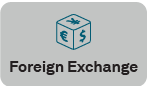 Foreign Exchange