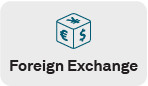 Foreign Exchange