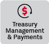 Treasury Management & Payments