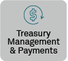 Treasury Management & Payments