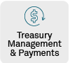 Treasury Management & Payments